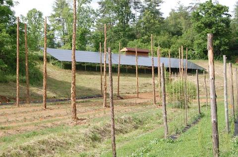 Ground-mounted solar panels on grassy hillside above a field with wooden trellis poles