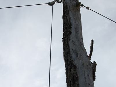 Weathered wooden pole or tree trunk with metal cables and hardware against cloudy sky