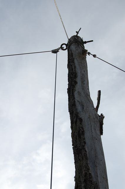 Weathered wooden pole or tree trunk with metal cables and hardware against cloudy sky