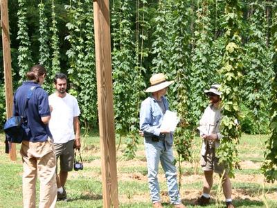 Four people inspecting tall hop bines on trellises in a field; one holds a clipboard.