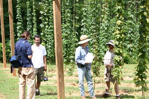 Four people inspecting tall hop bines on trellises in a field; one holds a clipboard.