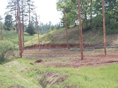 Field with rows of newly planted saplings marked by orange flags below tall tree trunks
