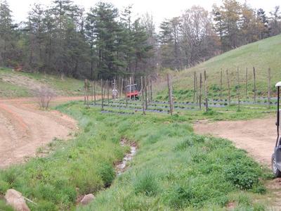 Grassy field with trellis rows, small tractor and worker near center, golf cart at right