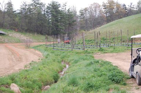 Grassy field with trellis rows, small tractor and worker near center, golf cart at right