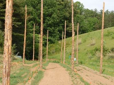 Dirt pathway flanked by tall stripped wooden poles running toward a wooded hillside