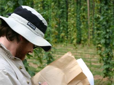 Man wearing sun hat examining papers in a field of tall vertical plants