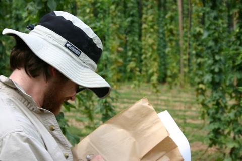 Man wearing sun hat examining papers in a field of tall vertical plants