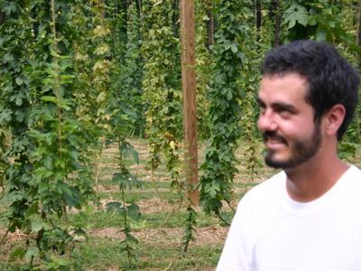 Man in white shirt standing near rows of trellised hop vines in a field