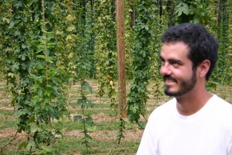 Man in white shirt standing near rows of trellised hop vines in a field