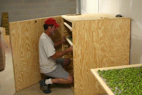 Man kneeling installing a plywood shelving unit with trays holding green herbs