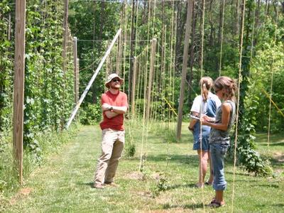 Man and two women standing in rows of hop trellises, inspecting plants