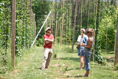 Man and two women standing in rows of hop trellises, inspecting plants