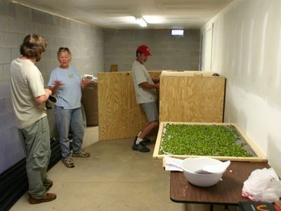 Three people assembling wooden boxes in a basement room; table with tray of green seedlings
