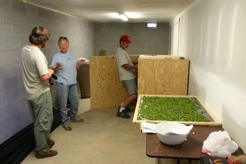 Three people assembling wooden boxes in a basement room; table with tray of green seedlings