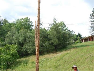 Tall stripped tree trunk in grassy field with person holding a shovel nearby