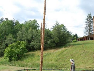 Person in hat stands beside tall stripped tree trunk in a circular planting bed