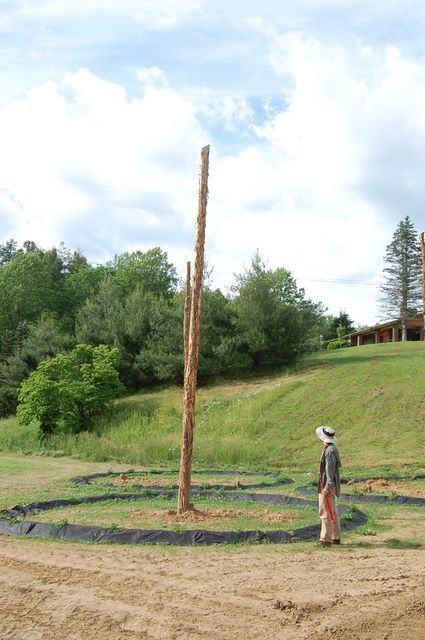Person in hat stands beside tall stripped tree trunk in a circular planting bed
