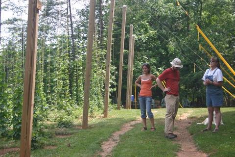 Three people standing beside tall wooden posts with climbing vines in a grassy wooded area