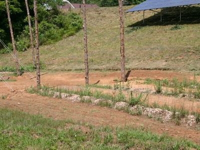 Grassy field with wooden poles, gravel planting rows, and solar panels on a slope