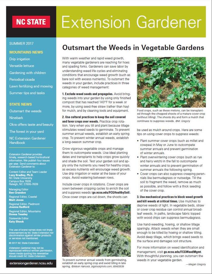 Cover of the newsletter