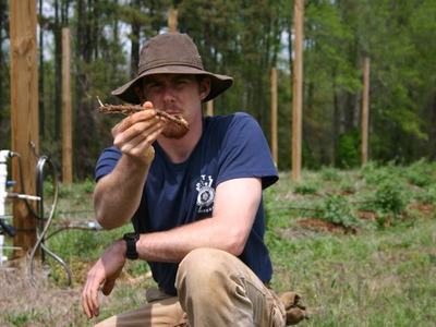 Man kneeling outdoors holding a pulled plant with exposed roots toward the camera