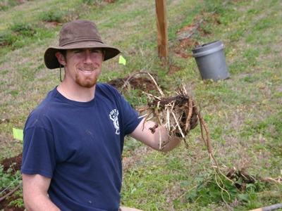 Man wearing a wide-brim hat holding a clump of pulled plant roots in a grassy field
