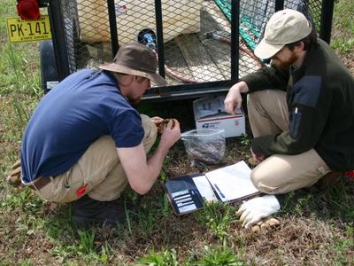 Two people crouched by a trailer (license plate PK-141) examining samples with notebook
