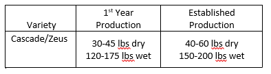 Average production observed for the two highest-yielding varieties (Cascade and Zeus) studied during this project.<br /> !! Numbers represent 200 plants on 0.25 acre !!