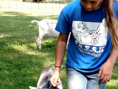 Young person leading a kid on a chain in a grassy fenced pasture; shirt reads "C.R.E.S.H."