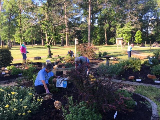 master gardener volunteers working in a garden