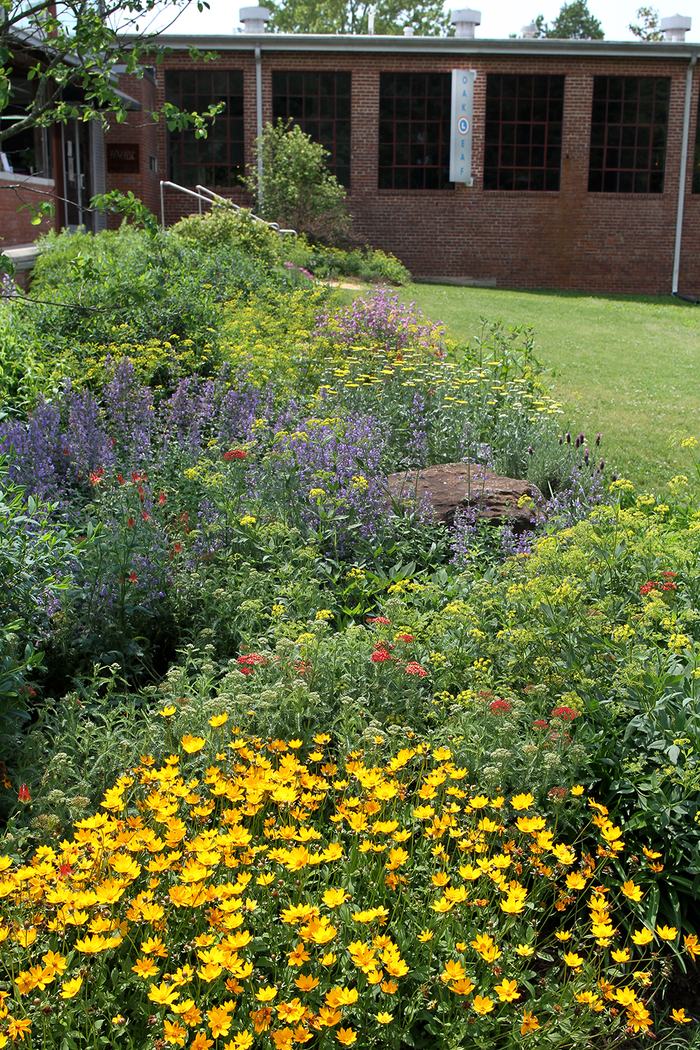 Spring shot of one of the front beds