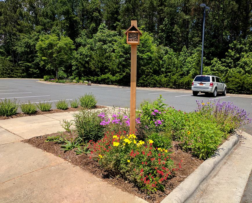 Solitary bee nest box