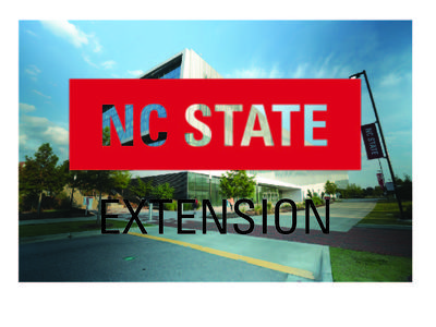 Incorrect Logo Usage: Transparent logo overlay