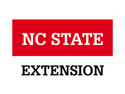 Incorrect Logo Usage: Recreated logo with wrong font