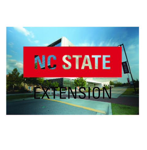 Incorrect Logo Usage: Transparent logo overlay