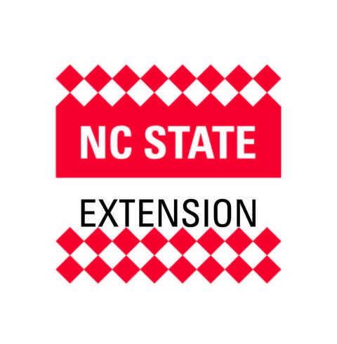 Incorrect Logo Usage: Additional checker grid element added