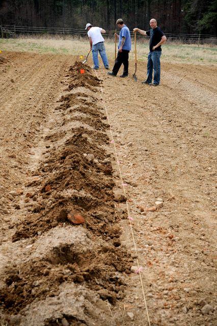 Three men with shovels forming a long ridge of turned soil in a field
