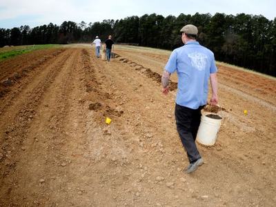 Three people walking across a plowed field, one carrying a white bucket