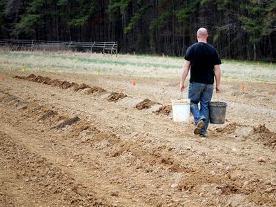 Man walking away carrying two buckets across a freshly tilled field