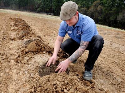 Man kneeling in field placing soil into a planting hole along a prepared row