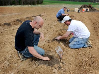 Three men kneeling in a field planting seeds into prepared soil rows