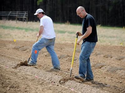 Two men digging furrows in a field with shovels