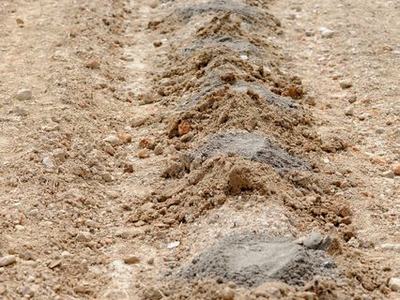 Row of small soil mounds in a tilled field extending into the distance