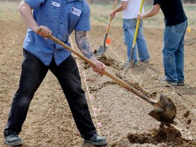 Three men digging a trench with shovels along a marked string line in a field