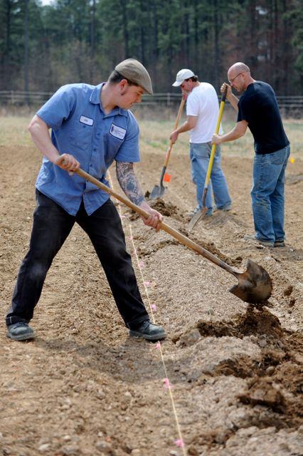 Three men digging a trench with shovels along a marked string line in a field