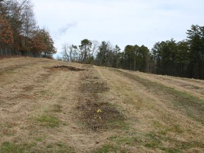 Mowed field with parallel furrows leading to a treeline and a small yellow marker