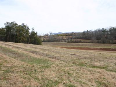 Rolling grassy field with treeline at left and distant hills under cloudy sky