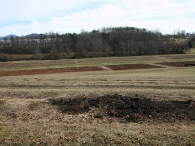 Grassy field with burned patch and rectangular cultivated plots, treeline and hills beyond