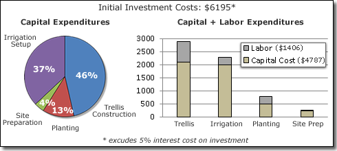 Percent and proportion of initial investment costs related to capital expenditures (left) and capital expenditures plus labor (right)