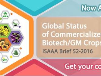 Now Available! Global Status of Commercialized Biotech/GM Crops: 2016 — ISAAA Brief 52-2016
